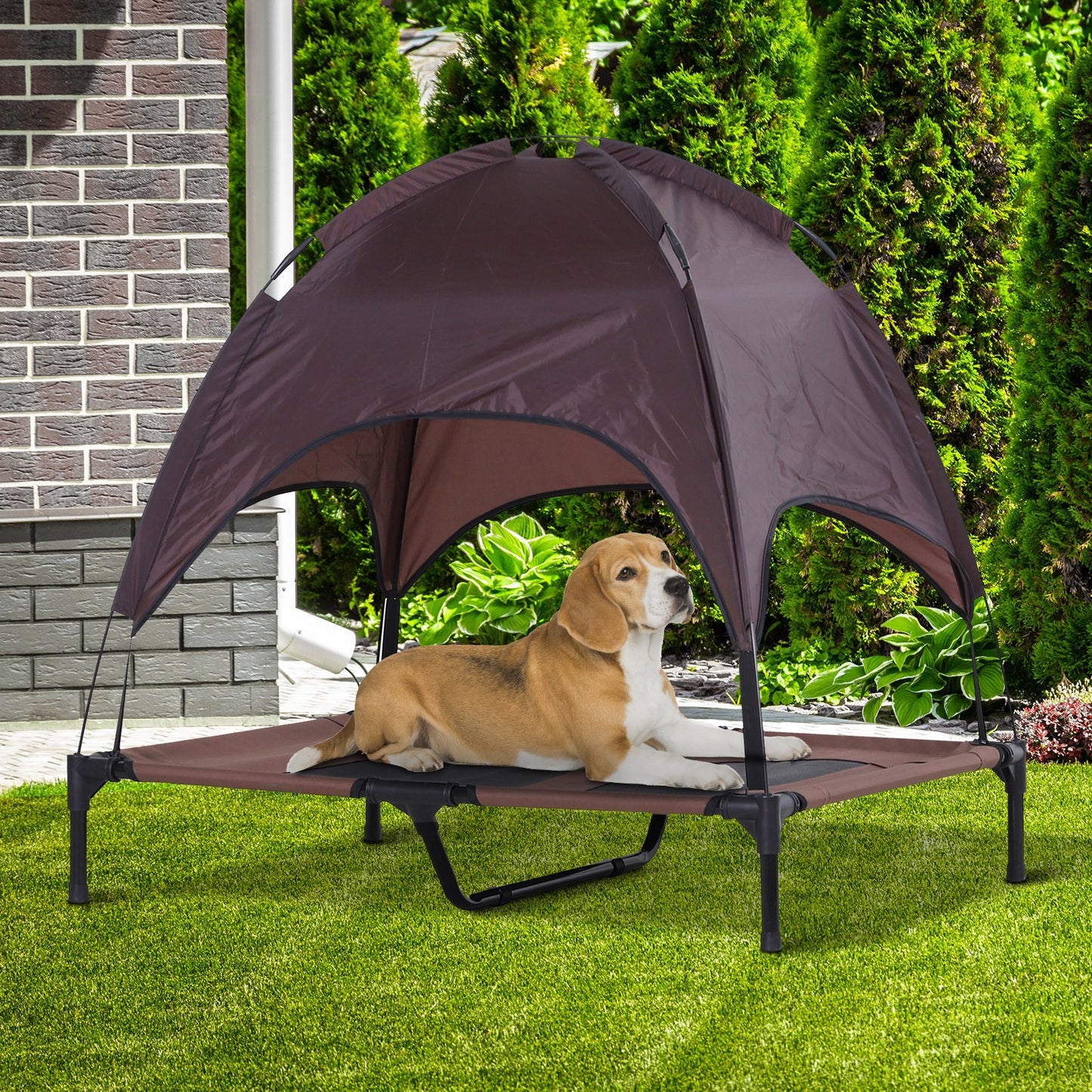 Foldable Elevated Pet Bed