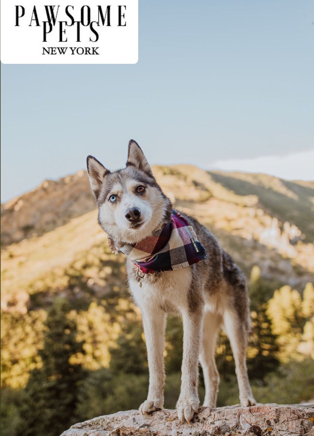 BANDANA - ALPINE
