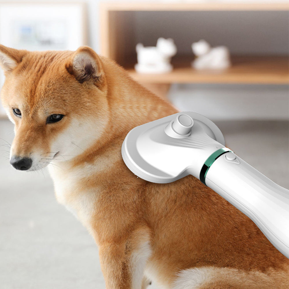 Pet Comb Hair Dryer Combo!