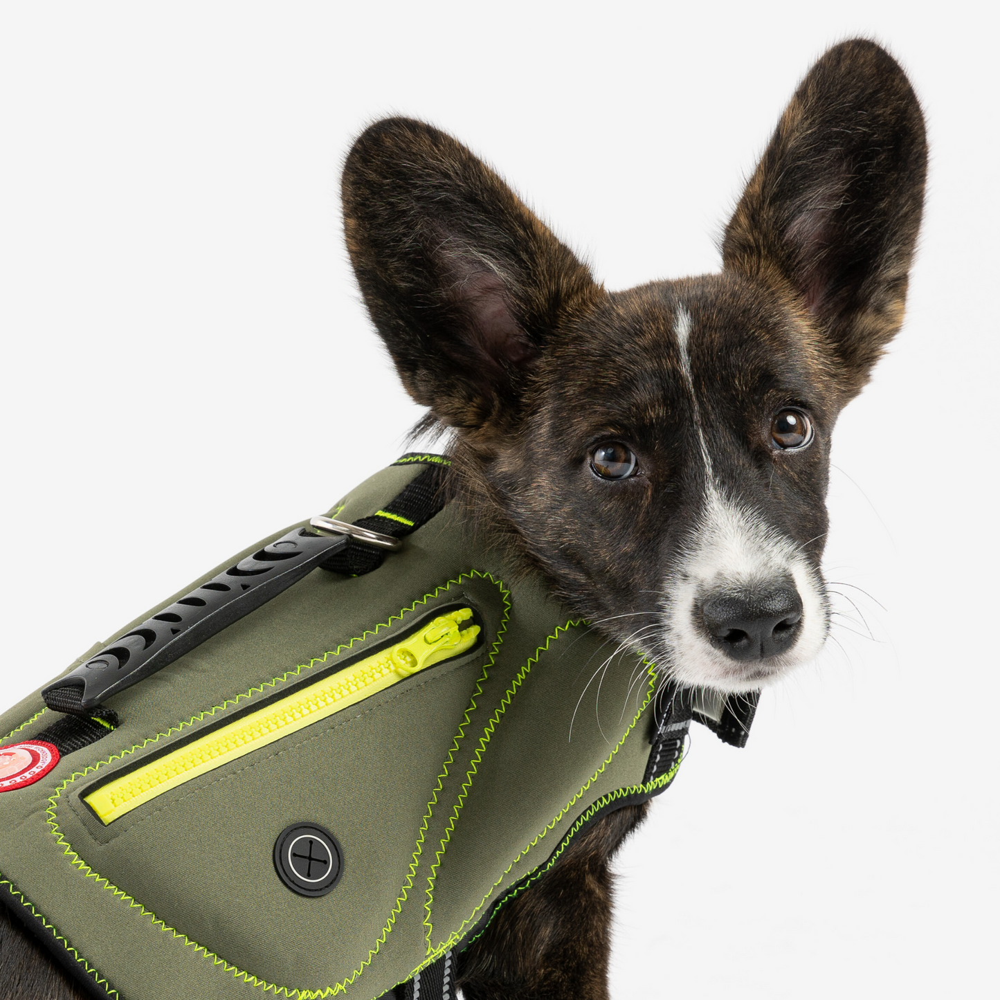 ๐พ๐ค Khaki Neoprene Dog Life Jacket โ Safe & Stylish Buoyancy Vest