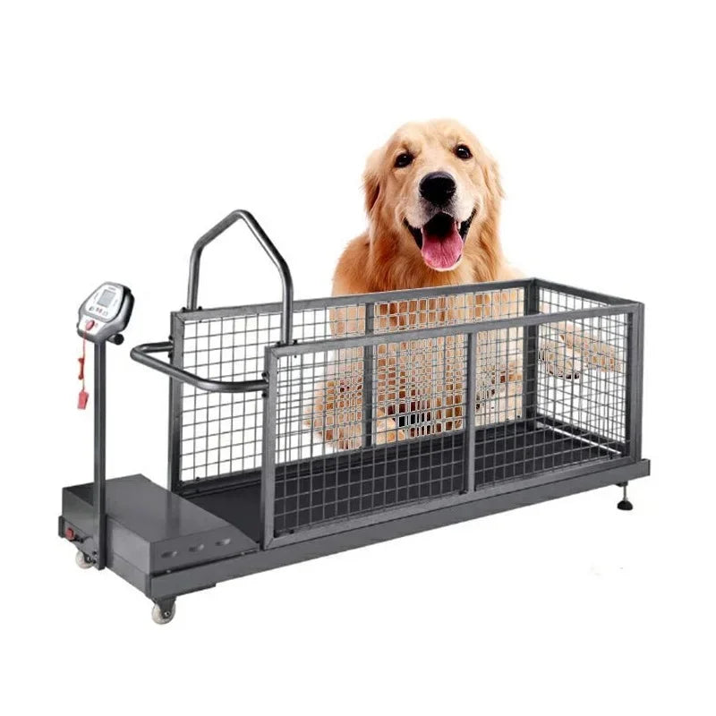 Walking Machine Pet Training Behavior Supplies Products Steel Dog