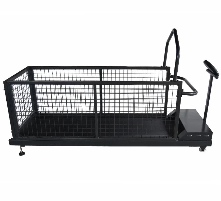 Walking Machine Pet Training Behavior Supplies Products Steel Dog