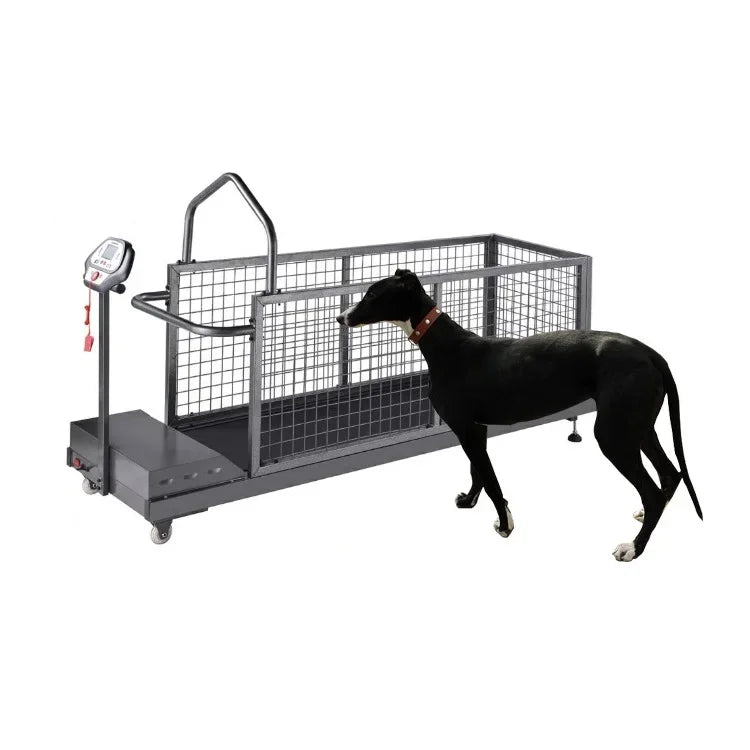 Walking Machine Pet Training Behavior Supplies Products Steel Dog