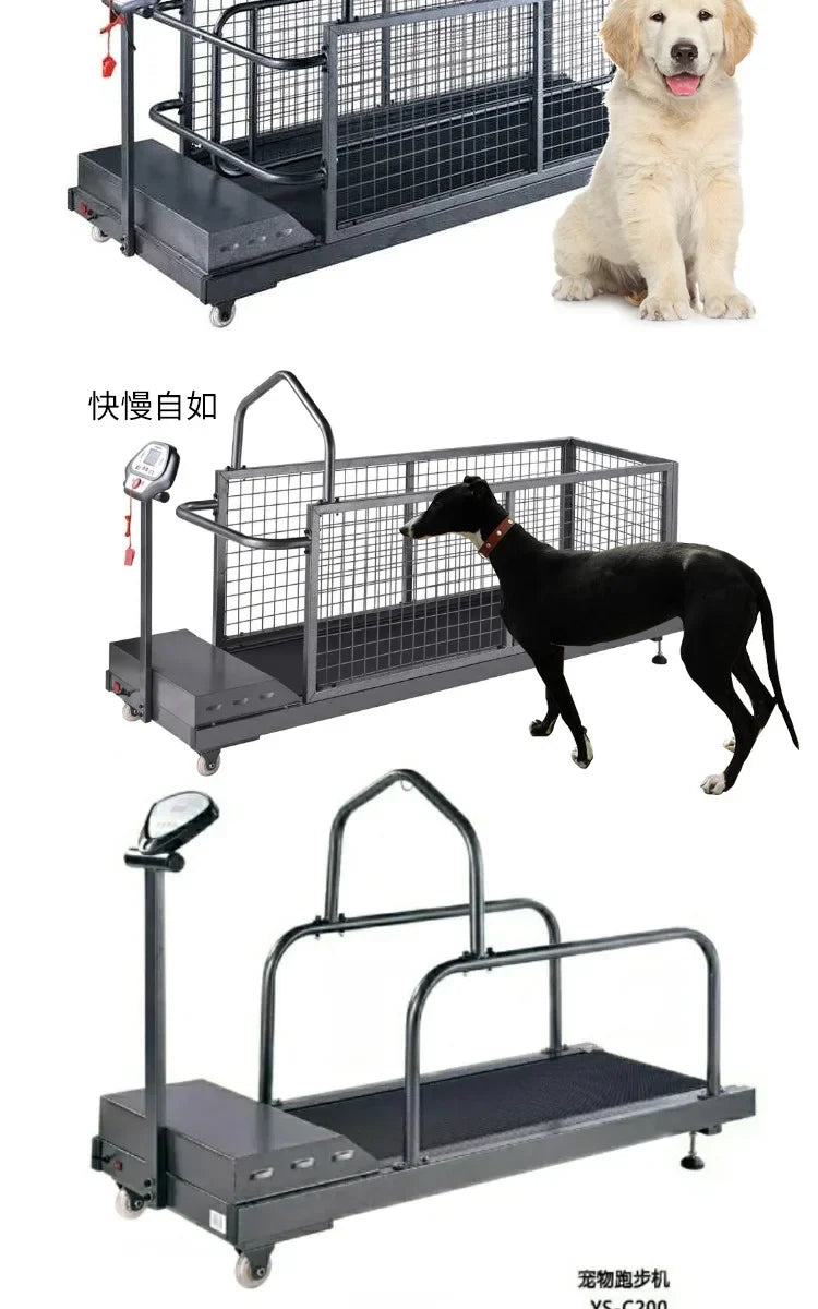 Walking Machine Pet Training Behavior Supplies Products Steel Dog