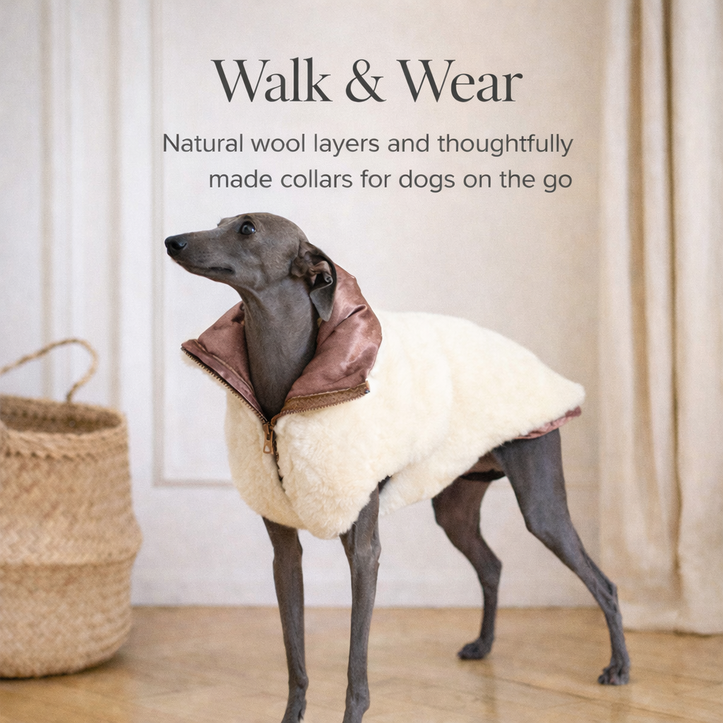 Walk & Wear
