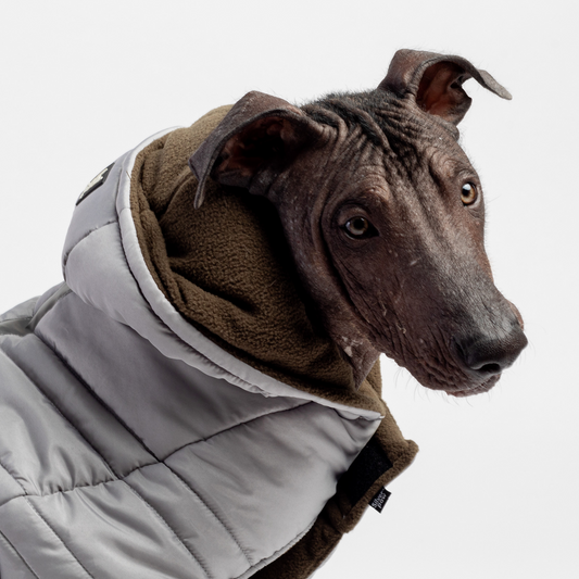 🧥 Jackson Dog Jacket – Grey Water-Resistant Coat with Cold-Alert™