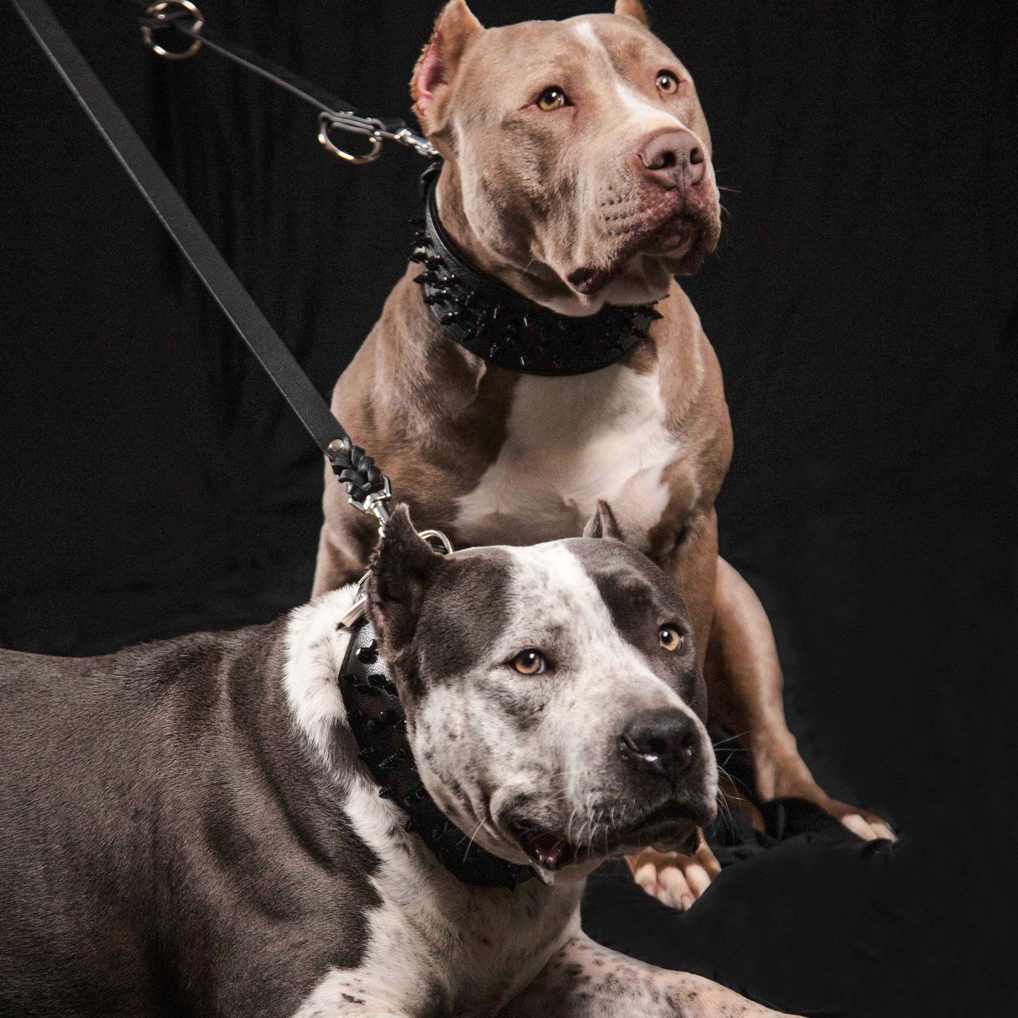 The Bestia Multi-Purpose Leash