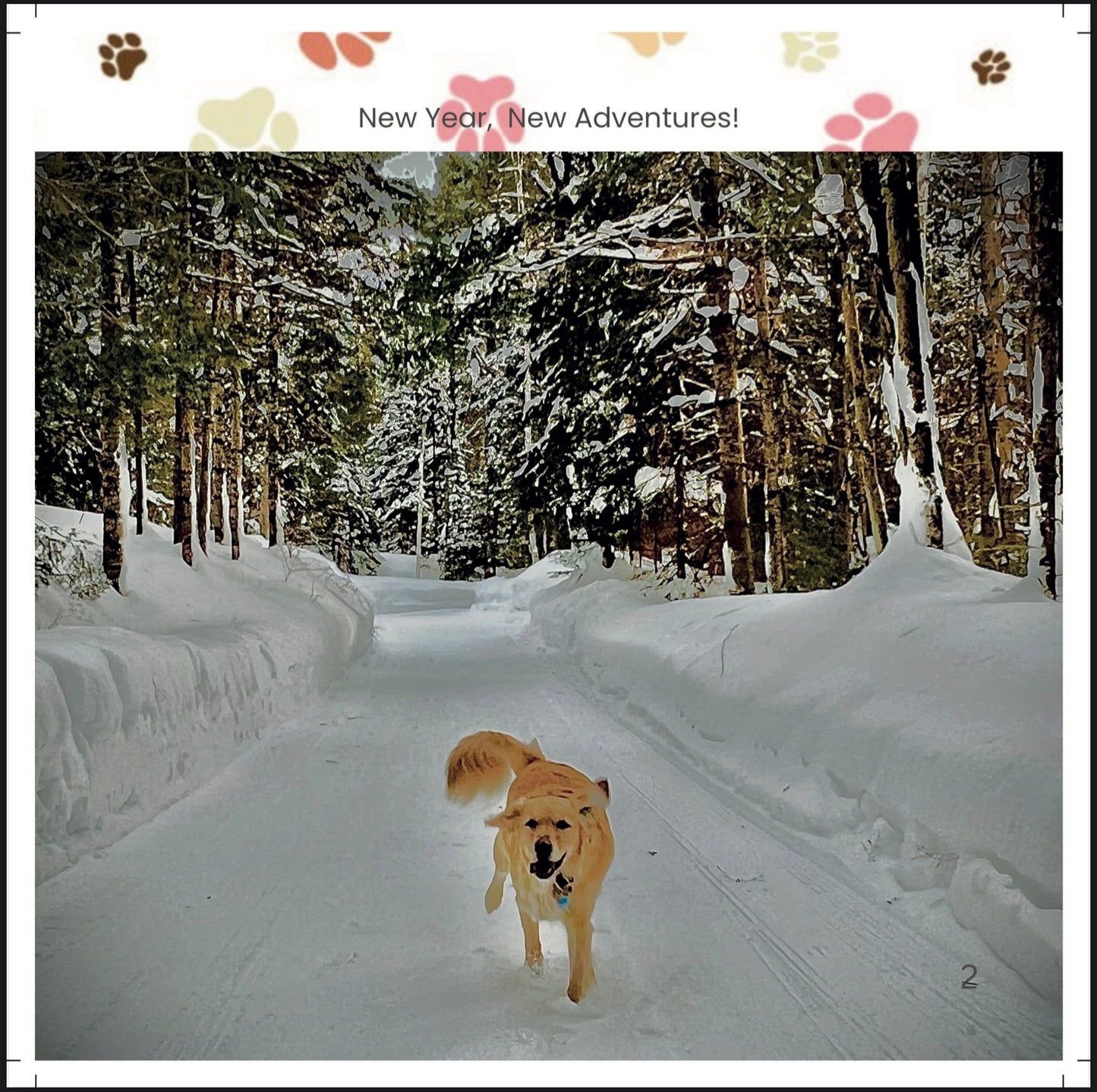 Golden Days 2026: A Paw-some Year with Buddy