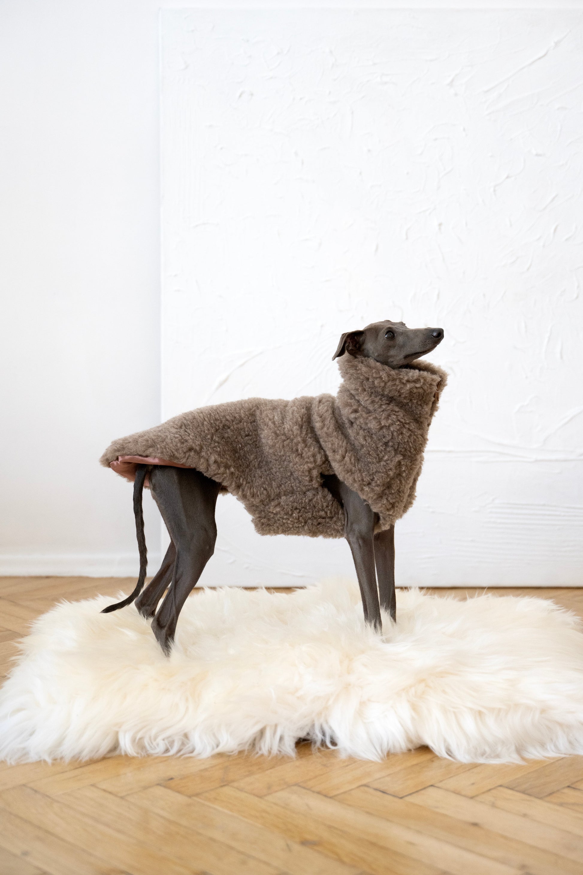 Woolen Dog Vest - Beige-1
