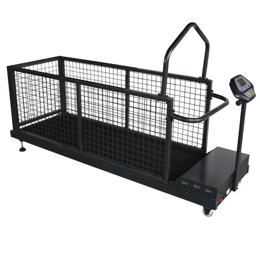 Walking Machine Pet Training Behavior Supplies Products Steel Dog