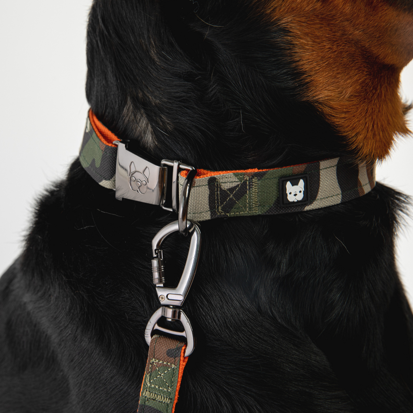 🦴 Camo Dog Collar