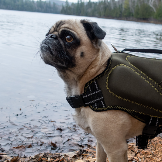 🐾🚤 Khaki Neoprene Dog Life Jacket – Safe & Stylish Buoyancy Vest