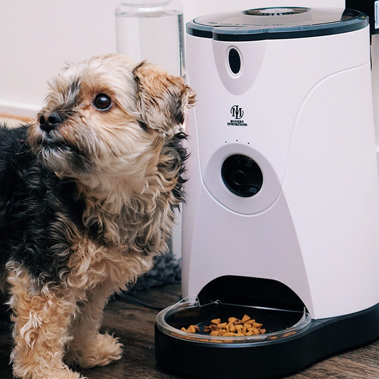 Smart Pet Feeder